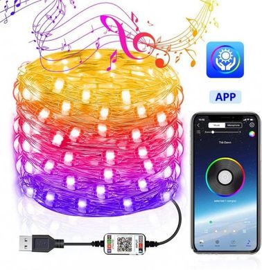 Фото Гирлянда светодиодная USB 10 м Encora Xmas Lights 100 LED  100led