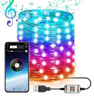 Фото Гірлянда світлодіодна USB 10 м Encora Xmas Lights 100 LED 100led