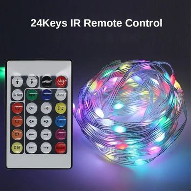 Фото Светодиодная гирлянда лента 10 м с пультом Led10
