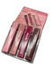 Набір бальзамів-тинтів Rhode Lip Tint Glossy Set, 4*10 мл
