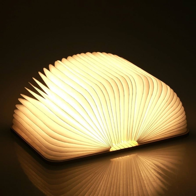 Фото Настільний нічник у вигляді книги Book Lamp  BL02PU