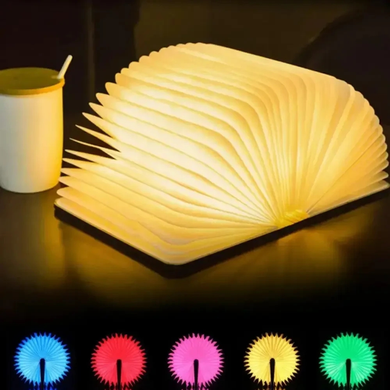 Фото Настольный ночник в виде книги Book Lamp  BL02PU